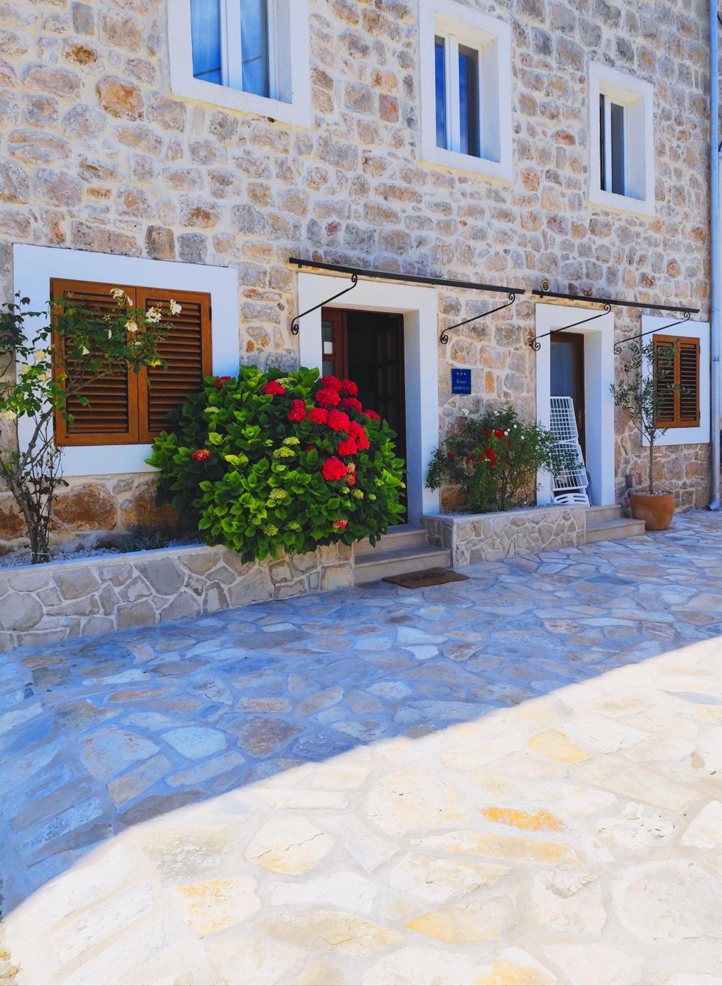 Apartment Mistral - Cosy Apartment With Sea View モルナット エクステリア 写真